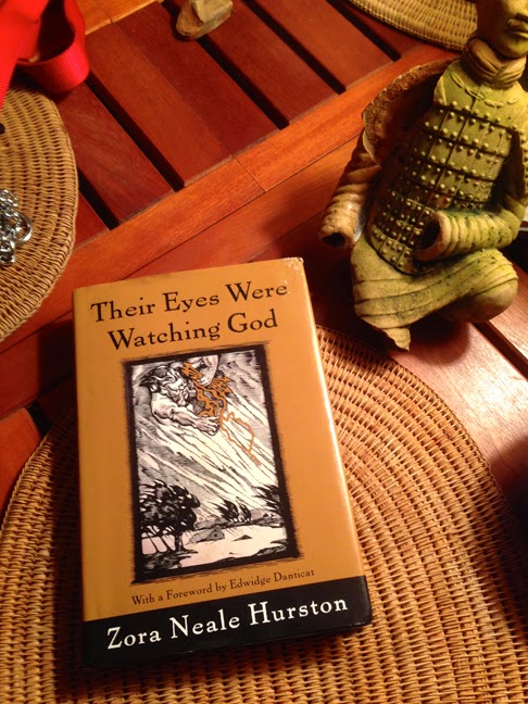 Need help do my essay similarities between hurston?s novels, seraph on the suwanee and their eyes were watching god